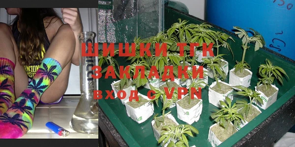 молекула духа Михайловск