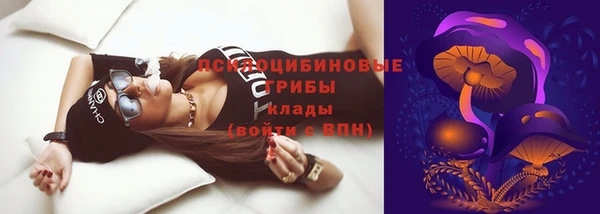 молекула духа Михайловск
