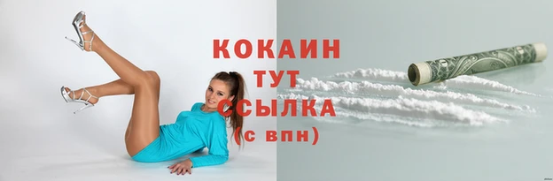 соль ск Михайлов