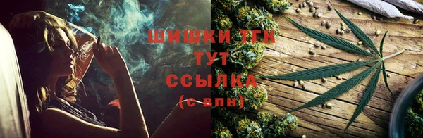 соль ск Михайлов