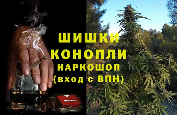соль ск Михайлов