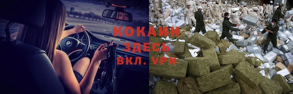 соль ск Михайлов